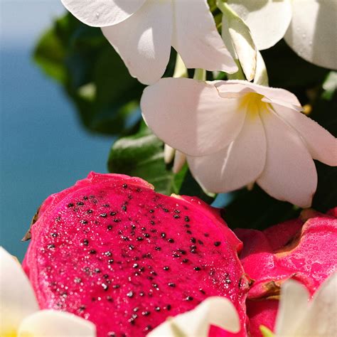 fruity perfumes sephora